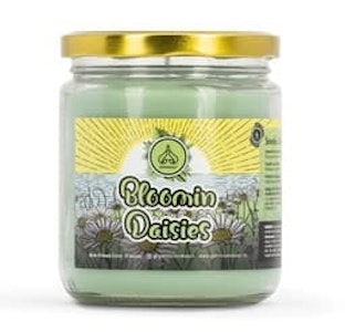 Maq Distributor - Candle - Smoke Out - Bloomin Daisies