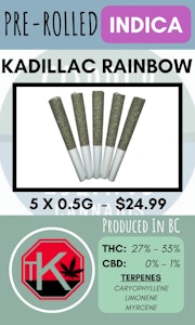 The Kitchen - THE KITCHEN - 5PK KADILLAC RAINBOW PRS