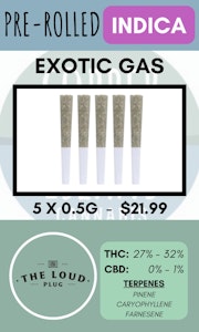 The Loud Plug - THE LOUD PLUG - 5PK EXOTIC GAS PRS