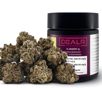 DEALR - EL MUERTE - 7