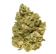 Broken Coast - EmergenZ (28g)