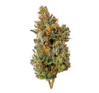 Top Leaf - Top Leaf - Nakatomi Plaza (7g)