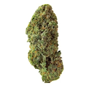 Homestead - Homestead - Bandwagon Sativa (7g)