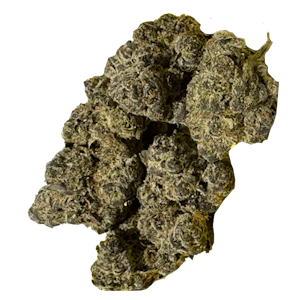 Plaid Trout - Sunset Sherbert 28g