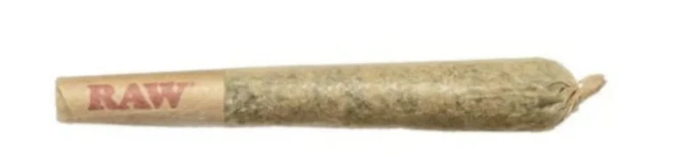 BC Organic Mango Cake 0.5g - 7pk