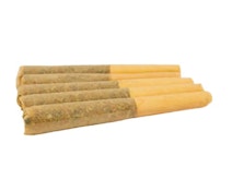 Virtue Cannabis - Charlottes Glue (5x0.5g)