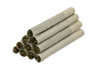 TRYGG - Death Bubba Pre-Rolls - 0.4g x 10