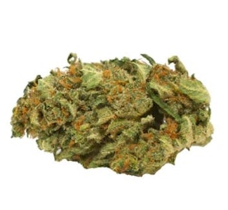 Always Hi - Jack Herer - 14g