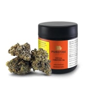 CRITICAL CONDITION 14G