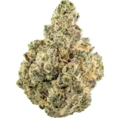 Green Gold - Big Greens Sativa 28g Dried Flower - Green Gold Main Image