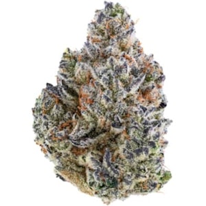 XK - Candy Kush 7g Dried Flower - XK