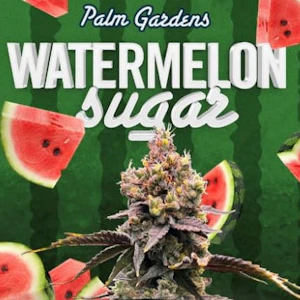 Palm Gardens Cannabis - Watermelon Sugar 15g Dried Flower - Palm Gardens Cannabis