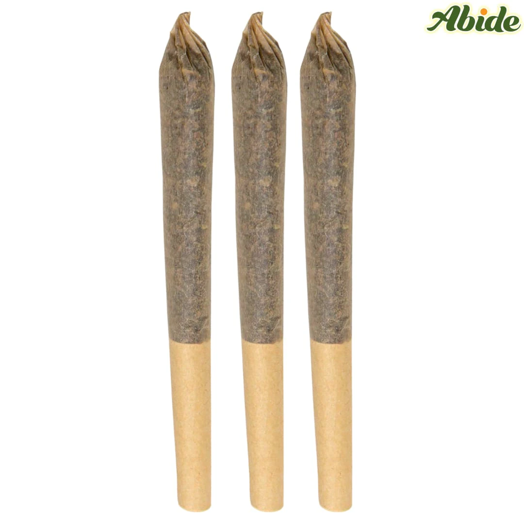 ABIDE - Abide | CBG Mango 1:1:1 Pre-Roll | 3x0.5g Main Image