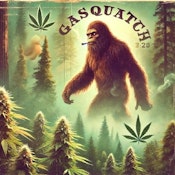 GASQUATCH 5X 0.5 G PR