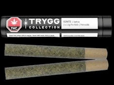 IGNITE | TRYGG 2x1g Pre-rolls | Elevate