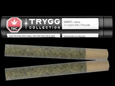 TRYGG - IGNITE | TRYGG 2x1g Pre-rolls | Elevate