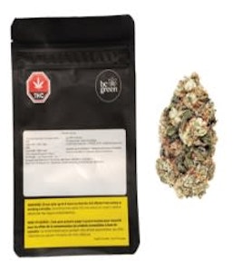 BC Green - Frosted Gumbo - Bubblegum X (Secret Strain X Gelato) 14g