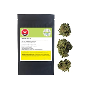 Weathered Islands Craft Cannabis - Weathered Islands Coastal Fog LTO - 14g