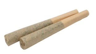 Amplified THC Bubble Hash Infused 2pk JOINTS .5g