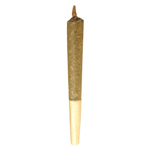 Buddy Blooms - Buddy Blooms - Sativa Pre-Roll - 1x1g