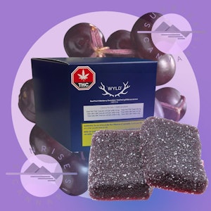 Wyld - ELDERBERRY 1:2 - THC:CBN - WYLD - 10 PACK
