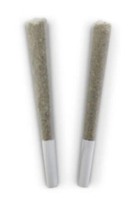 BC Doobies - BLISSFUL WIZARD - 2 x 1g