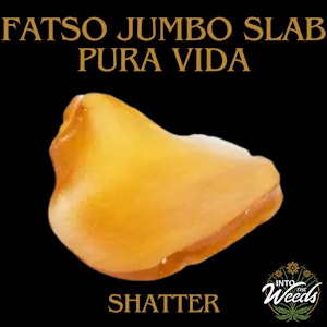 Pura Vida - Fatso Jumbo Slab Shatter - 1.2g