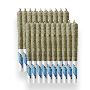 PLAID TROUT - Durban Poison 20 x 0.35g Pre-Rolls