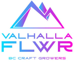 Valhalla FLWR - Rainbow Lava 7g Dried Flower - Valhalla Flwr