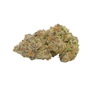 BROKEN COAST - COFFEE CREAMER FLOWER - 7G