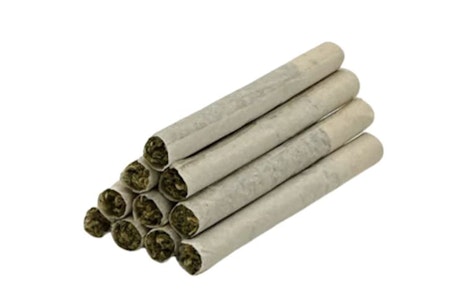 TRYGG - HAWAIIAN PUNCH PRE-ROLLS - 10X0.4G