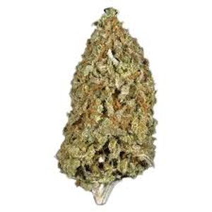 Potluck - Candy Cane Kush 7g Dried Flower