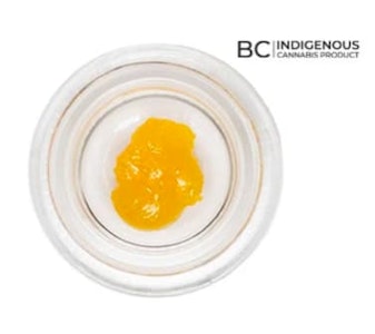All Nations - ALL NATIONS | INDICA CURED RESIN | BLACKBERRY PIE 1g.