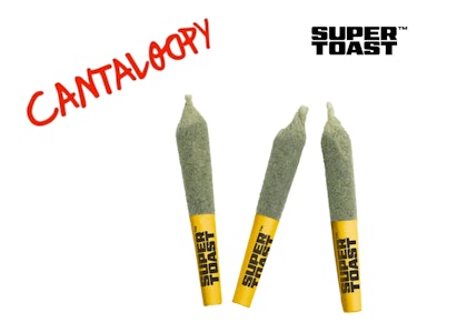 Super Toast - CANTALOOPY TOASTERS INFUSED | 5 x .5g