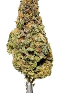 Salt Spring Magic - SALTSPRING MAGIC ZEUS 3.5g