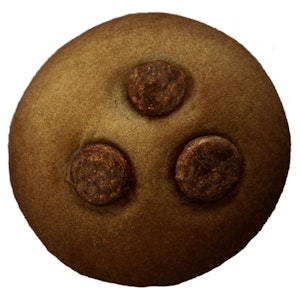 THC BIOMED LTD. - DOUBLE CHOCOLATE BISCUIT