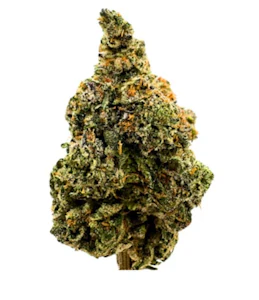 BC Weed Co. - Bc Weed Co West Coast OG 7g