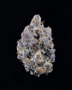 Sweetgrass Organic Cannabis - 14g Black Patronus