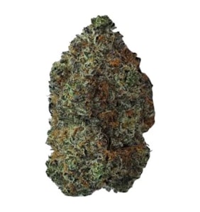 Cappellano Cannabis Co. - Cappellano Cannabis Co. - Organic Maple Blizzard (7g)