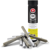 White Chocolate 10x0.5g Pre-Roll (Chocolope X White Moonshine)