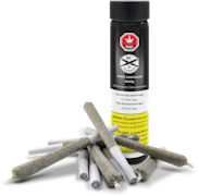 White Chocolate 10x0.5g Pre-Roll (Chocolope X White Moonshine)