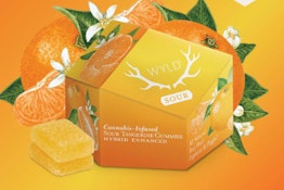 Real Fruit Sour Tangerine Gummies 2 Pack Soft Chews