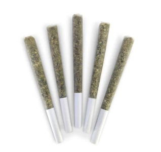 DEALR - Dealr | El Changuito Pre-Roll | 5 x 0.5 g