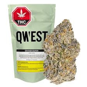 Qwest - 14g Grandi Guava - Qwest