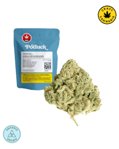 Potluck - Sugar Shack 7g Dried Flower