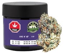 Gas n' Up 3.5g Dried Flower