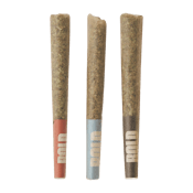 Craft Sampler Variety Pack (0.5g x 3PR) - BOLD