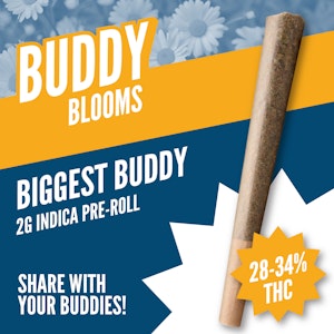 Buddy Blooms - Biggest Buddy Indica Pre-Roll 1x2g Pre-Rolls