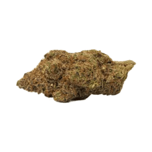 BOLD Growth - Orange Crush (7g) - BOLD