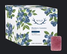 Multipack of 10, Wyld Blueberry THC Gummies (100mg THC) Wyld